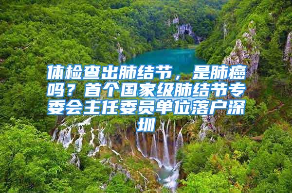 體檢查出肺結(jié)節(jié)，是肺癌嗎？首個(gè)國(guó)家級(jí)肺結(jié)節(jié)專(zhuān)委會(huì)主任委員單位落戶(hù)深圳