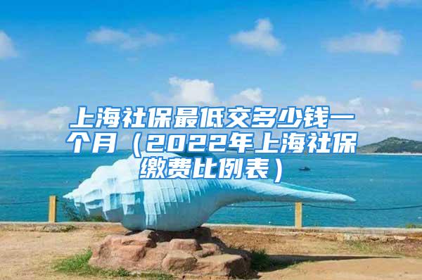 上海社保最低交多少錢一個月（2022年上海社保繳費比例表）