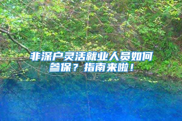 非深戶靈活就業(yè)人員如何參保？指南來啦！