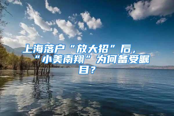 上海落戶“放大招”后，“小美南翔”為何備受矚目？