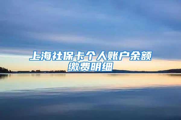 上海社?？▊€人賬戶余額繳費明細