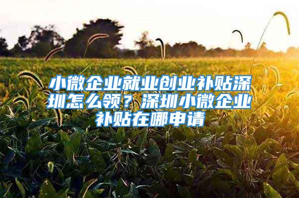 小微企業(yè)就業(yè)創(chuàng)業(yè)補(bǔ)貼深圳怎么領(lǐng)？深圳小微企業(yè)補(bǔ)貼在哪申請