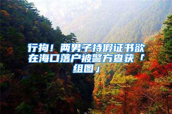 行拘！兩男子持假證書欲在海口落戶被警方查獲「組圖」