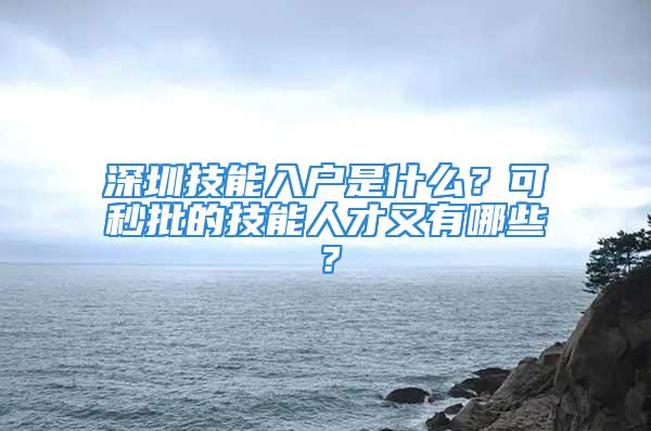 深圳技能入戶是什么？可秒批的技能人才又有哪些？