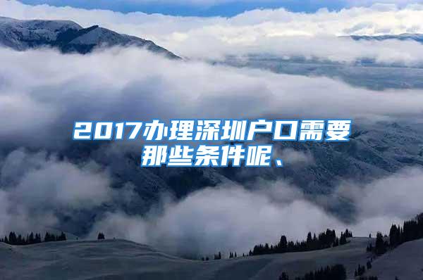 2017辦理深圳戶口需要那些條件呢、