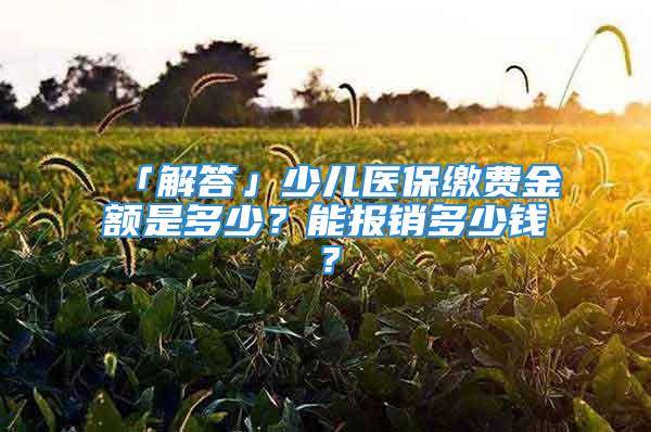 「解答」少兒醫(yī)保繳費金額是多少？能報銷多少錢？