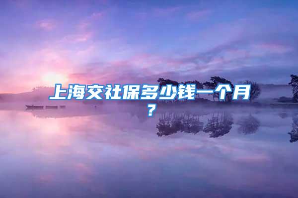 上海交社保多少錢一個月？