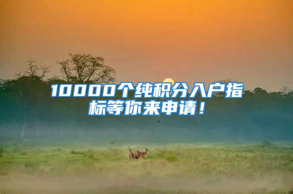 10000個(gè)純積分入戶指標(biāo)等你來(lái)申請(qǐng)！