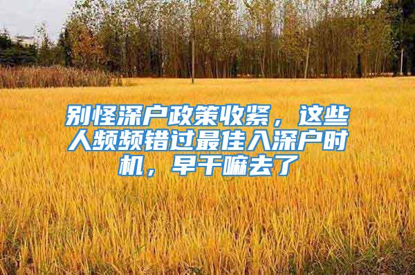 別怪深戶政策收緊，這些人頻頻錯過最佳入深戶時機，早干嘛去了