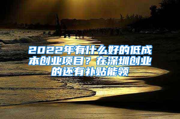 2022年有什么好的低成本創(chuàng)業(yè)項(xiàng)目？在深圳創(chuàng)業(yè)的還有補(bǔ)貼能領(lǐng)