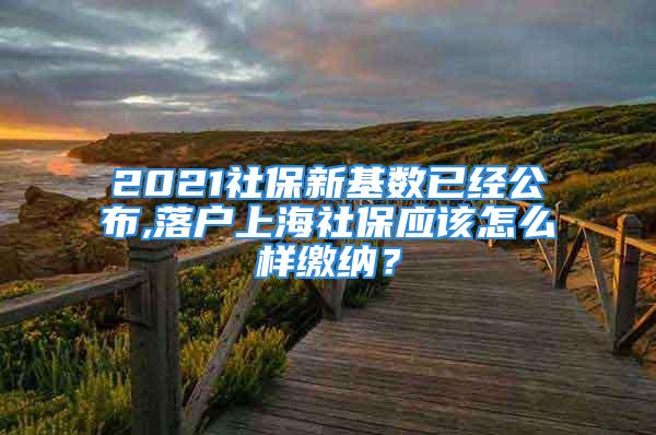 2021社保新基數(shù)已經(jīng)公布,落戶上海社保應該怎么樣繳納？