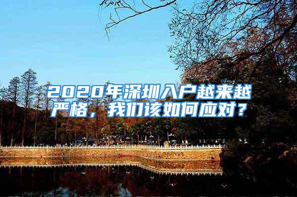 2020年深圳入戶越來越嚴格，我們該如何應對？