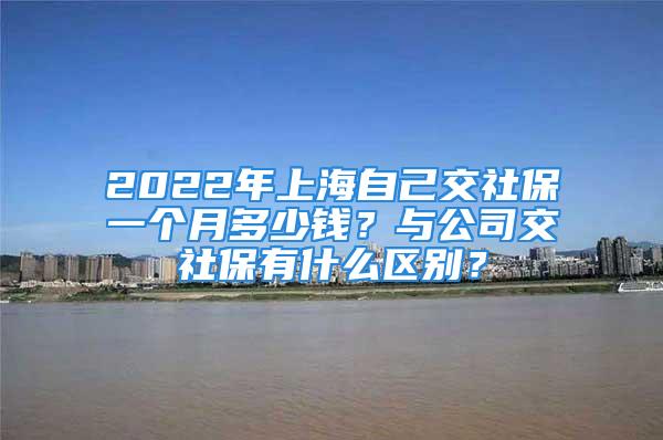 2022年上海自己交社保一個(gè)月多少錢？與公司交社保有什么區(qū)別？