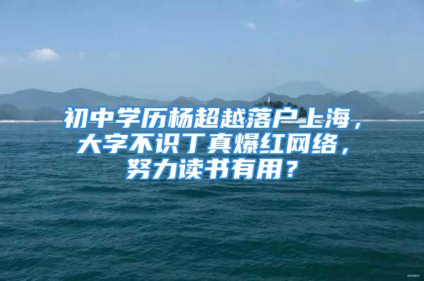 初中學(xué)歷楊超越落戶上海，大字不識(shí)丁真爆紅網(wǎng)絡(luò)，努力讀書(shū)有用？