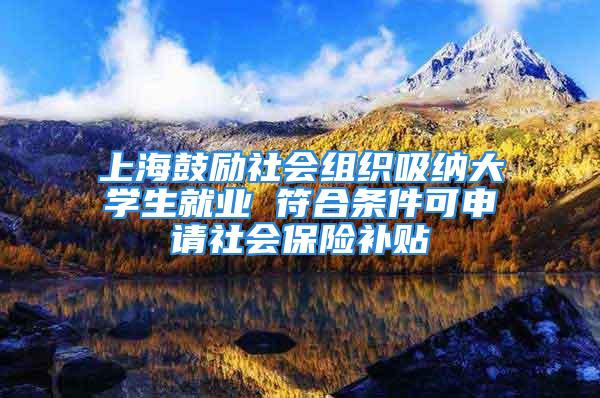 上海鼓勵社會組織吸納大學生就業(yè) 符合條件可申請社會保險補貼