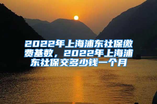 2022年上海浦東社保繳費(fèi)基數(shù)，2022年上海浦東社保交多少錢(qián)一個(gè)月