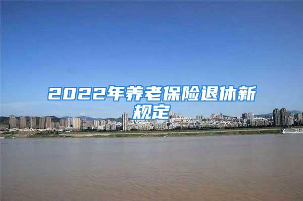 2022年養(yǎng)老保險退休新規(guī)定