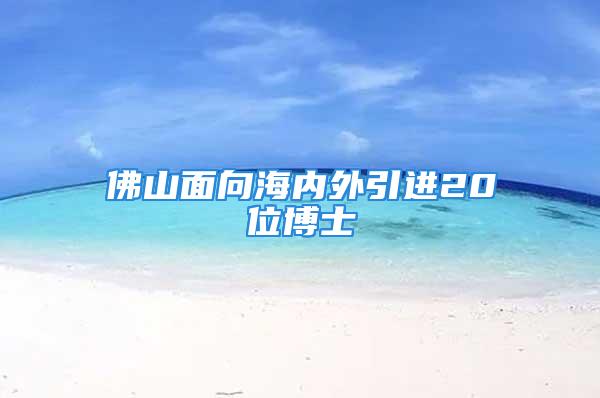 佛山面向海內(nèi)外引進(jìn)20位博士