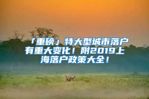 「重磅」特大型城市落戶有重大變化！附2019上海落戶政策大全！