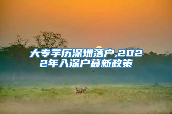 大專學(xué)歷深圳落戶,2022年入深戶蕞新政策