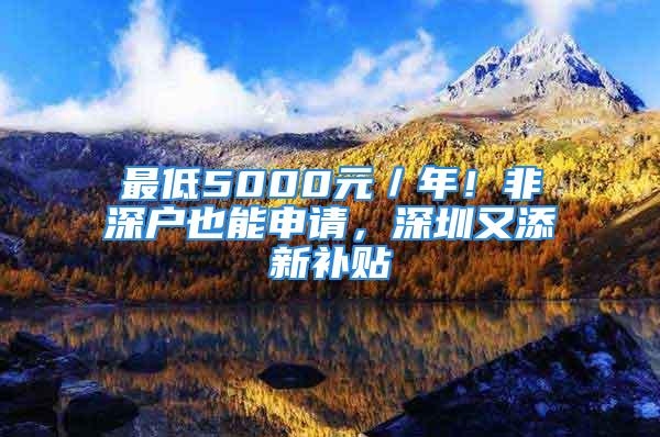 最低5000元／年！非深戶也能申請(qǐng)，深圳又添新補(bǔ)貼