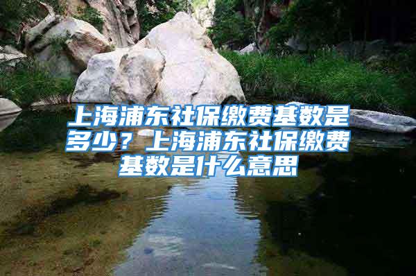 上海浦東社保繳費(fèi)基數(shù)是多少？上海浦東社保繳費(fèi)基數(shù)是什么意思