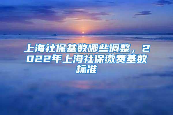 上海社?；鶖?shù)哪些調(diào)整，2022年上海社保繳費(fèi)基數(shù)標(biāo)準(zhǔn)