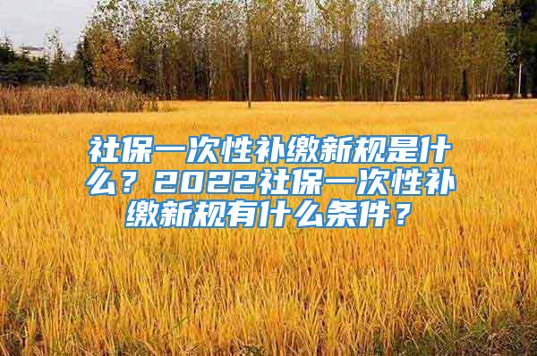 社保一次性補繳新規(guī)是什么？2022社保一次性補繳新規(guī)有什么條件？