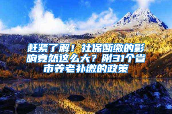 趕緊了解！社保斷繳的影響竟然這么大？附31個省市養(yǎng)老補繳的政策