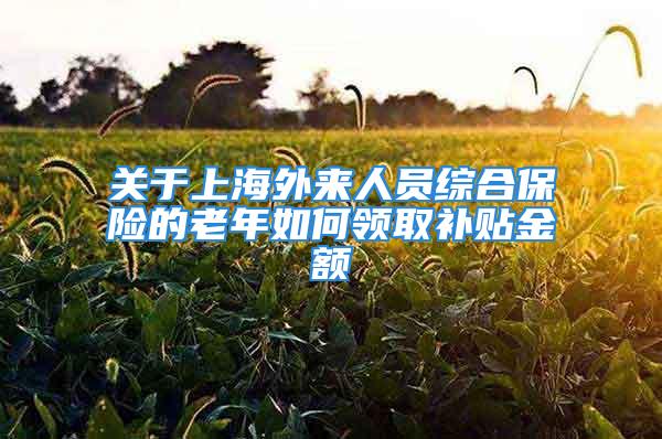 關于上海外來人員綜合保險的老年如何領取補貼金額