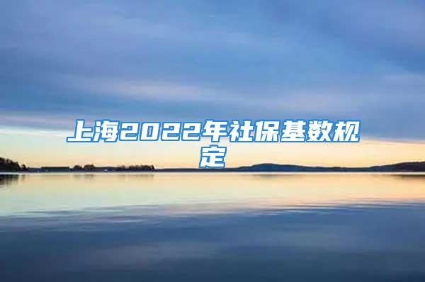 上海2022年社?；鶖?shù)規(guī)定