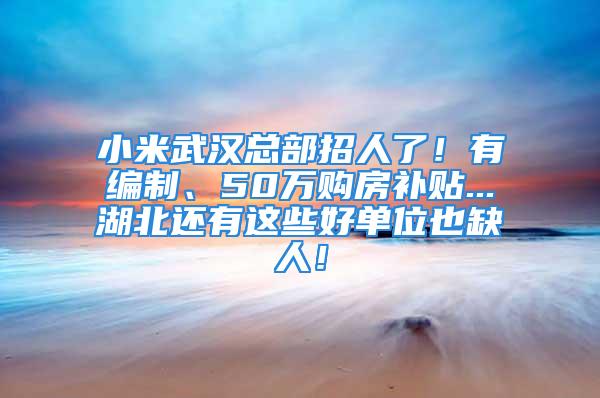 小米武漢總部招人了！有編制、50萬購房補貼...湖北還有這些好單位也缺人！