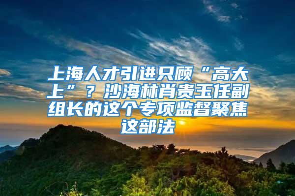 上海人才引進(jìn)只顧“高大上”？沙海林肖貴玉任副組長的這個專項監(jiān)督聚焦這部法