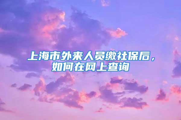 上海市外來人員繳社保后，如何在網(wǎng)上查詢