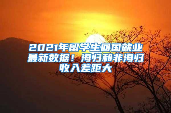 2021年留學生回國就業(yè)最新數(shù)據(jù)！海歸和非海歸收入差距大