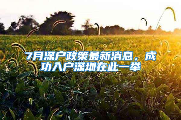 7月深戶政策最新消息，成功入戶深圳在此一舉