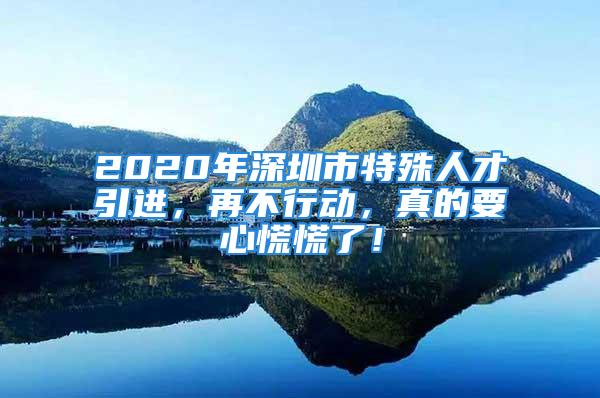 2020年深圳市特殊人才引進，再不行動，真的要心慌慌了！