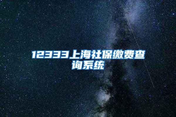 12333上海社保繳費(fèi)查詢系統(tǒng)