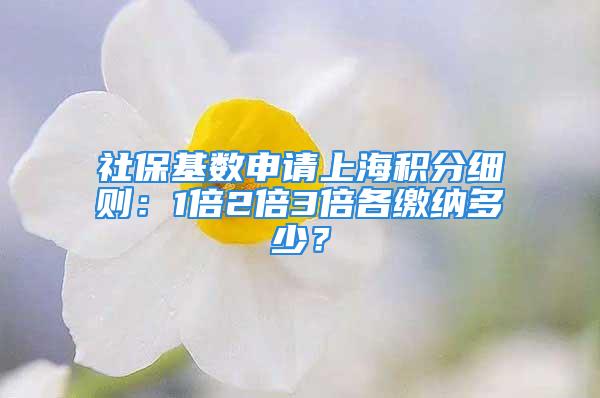 社保基數(shù)申請上海積分細(xì)則：1倍2倍3倍各繳納多少？