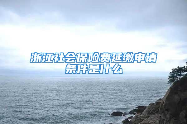 浙江社會保險(xiǎn)費(fèi)延繳申請條件是什么