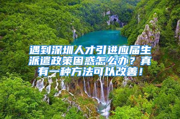 遇到深圳人才引進(jìn)應(yīng)屆生派遣政策困惑怎么辦？真有一種方法可以改善！