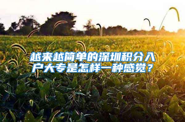 越來越簡(jiǎn)單的深圳積分入戶大專是怎樣一種感覺？