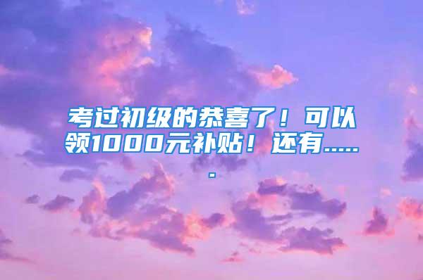 考過初級的恭喜了！可以領(lǐng)1000元補(bǔ)貼！還有......