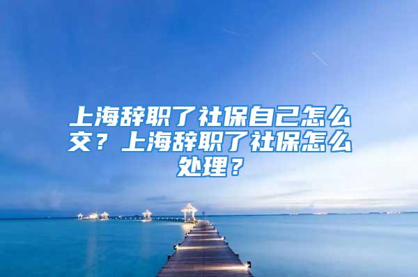 上海辭職了社保自己怎么交？上海辭職了社保怎么處理？