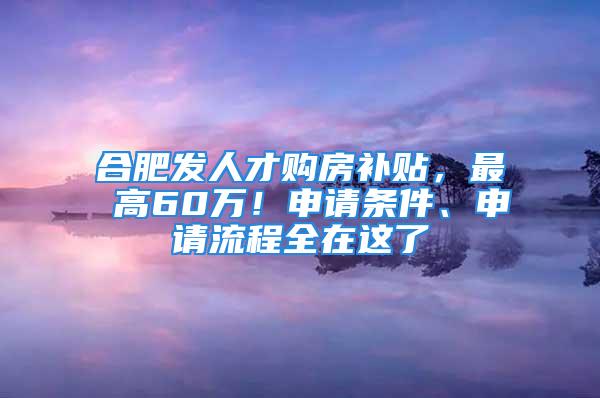 合肥發(fā)人才購(gòu)房補(bǔ)貼，最 高60萬(wàn)！申請(qǐng)條件、申請(qǐng)流程全在這了