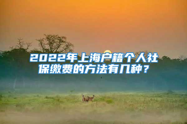 2022年上海戶籍個(gè)人社保繳費(fèi)的方法有幾種？