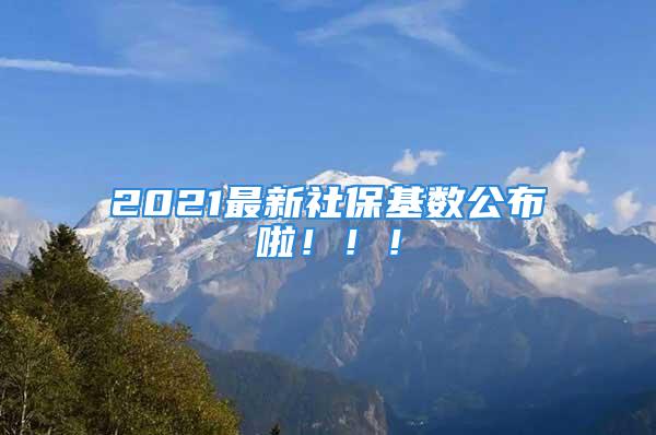 2021最新社?；鶖?shù)公布啦?。?！