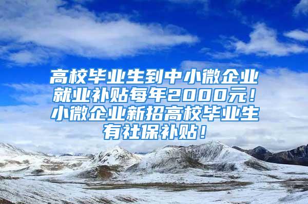 高校畢業(yè)生到中小微企業(yè)就業(yè)補貼每年2000元！小微企業(yè)新招高校畢業(yè)生有社保補貼！