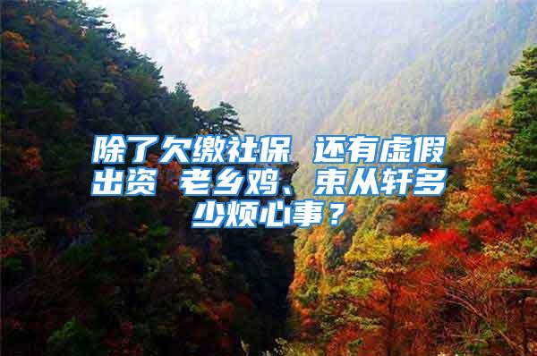 除了欠繳社保 還有虛假出資 老鄉(xiāng)雞、束從軒多少煩心事？