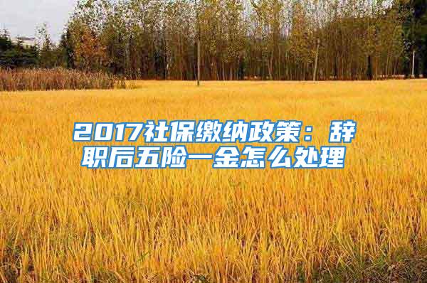 2017社保繳納政策：辭職后五險(xiǎn)一金怎么處理